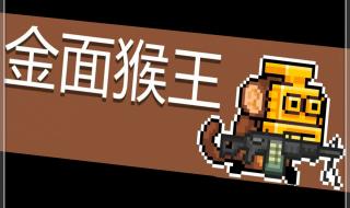 元气骑士最强英雄 元气骑士最强英雄